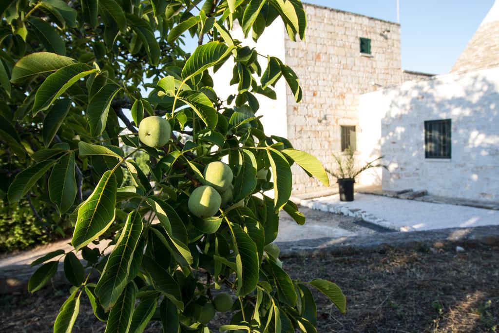 Maison Milleottocento Cisternino Exterior photo